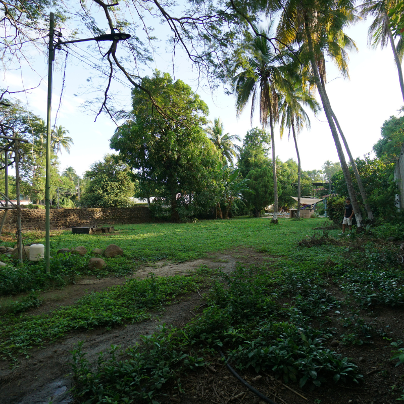 Investment Opportunity Secondline Lot in El Zonte, Bitcoin Beach
