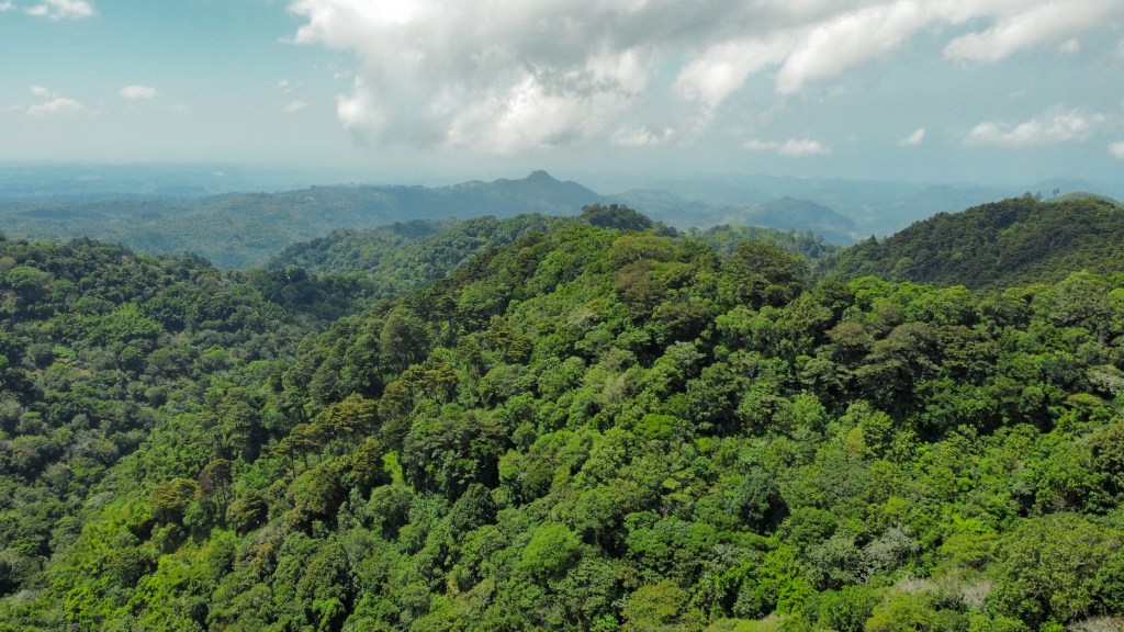 el-salvador-comasagua-2